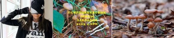 скорость Куйбышев